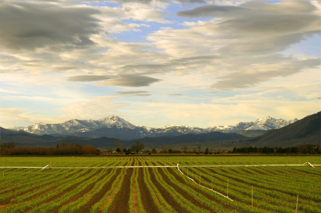 Rural farm land