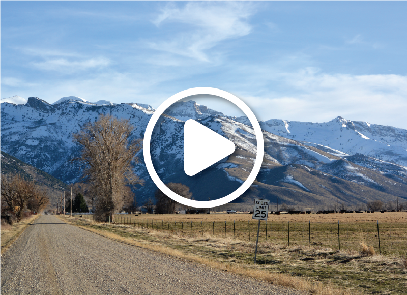 A long dirt road in Lamoille Nevada, leading into the Ruby Mountains.