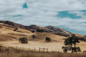 Rural California, fields of yellowed grass against a almost teal blue sky and large-billowing soft clouds.