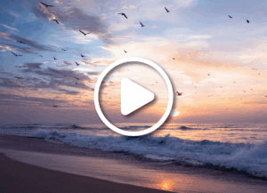 Beautiful sunset in pink color, flock of flying birds, Guadalupe Dunes National Wildlife Reserve, California