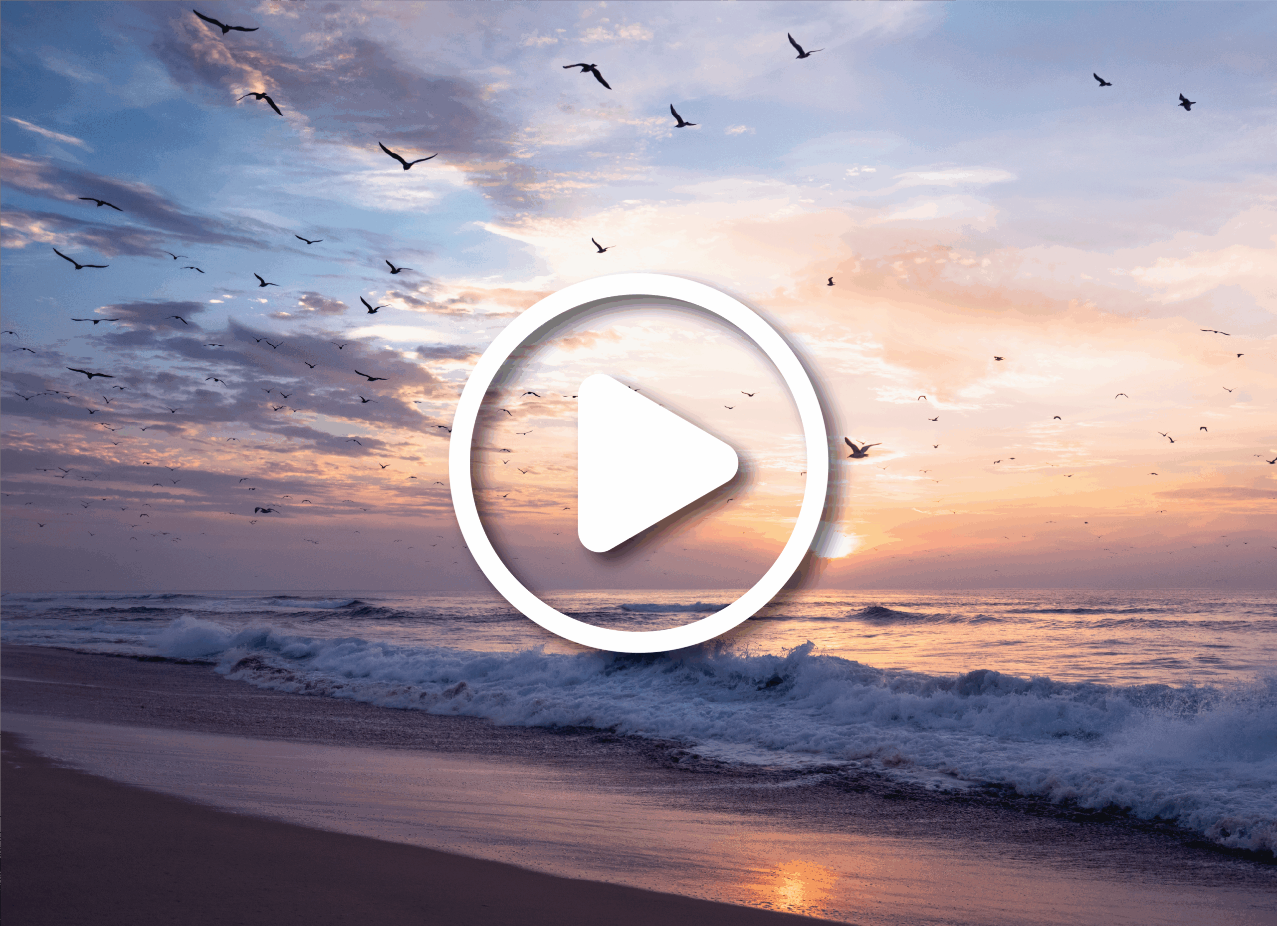 Beautiful sunset in pink color, flock of flying birds, Guadalupe Dunes National Wildlife Reserve, California