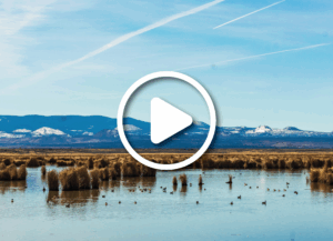 Tule Lake National Wildlife Refuge, California.
