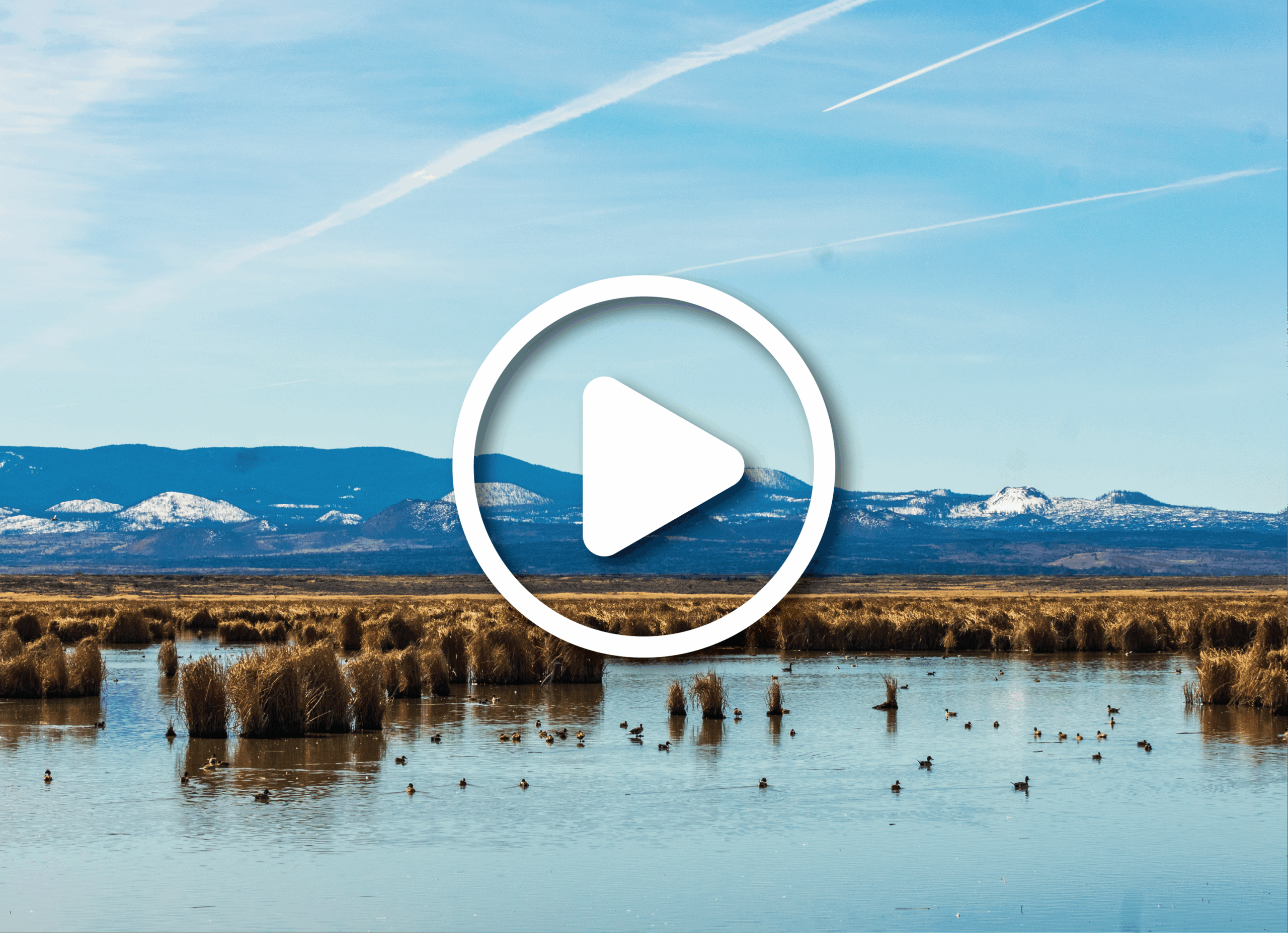 Tule Lake National Wildlife Refuge, California.