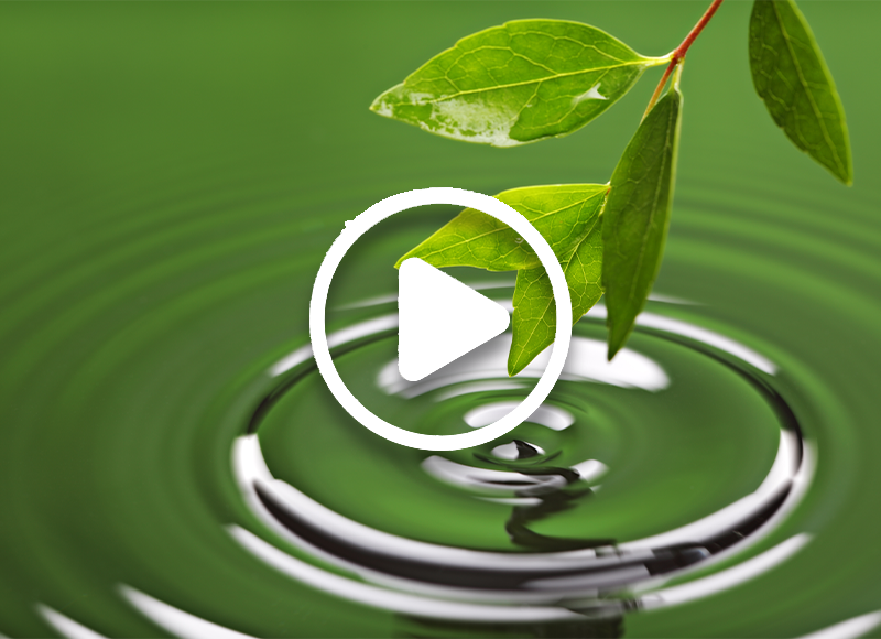 leaf causing a ripple effect in the water
