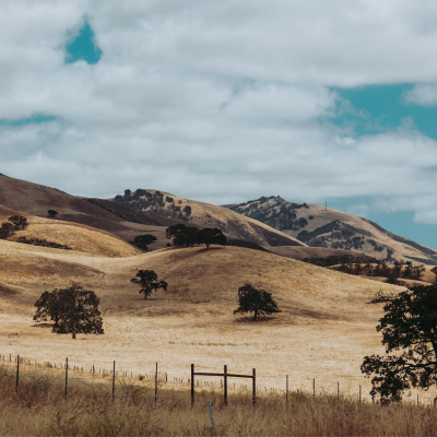6209_PSROTA-R_National-Resource_Image Rural California, fields of yellowed grass against a almost teal blue sky and large-billowing soft clouds.