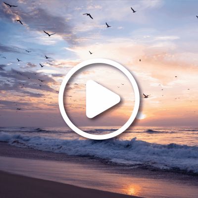 6399_product-header Beautiful sunset in pink color, flock of flying birds, Guadalupe Dunes National Wildlife Reserve, California