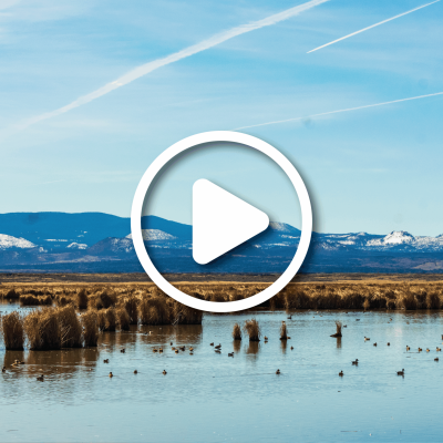 Tule Lake National Wildlife Refuge, California.