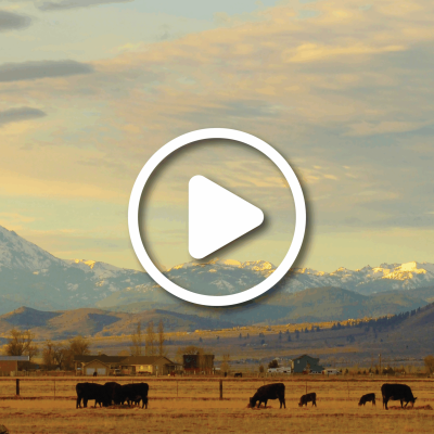6624_news-cover Carson Valley Nevada