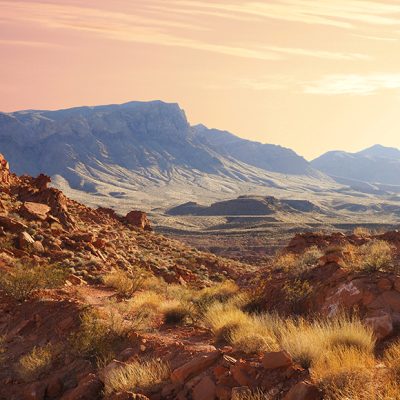 Image features brilliant orange sunset casting light on gargantuan lilac mountains with Nevada sage bush stretching from foreground to the back. Specifically captures the unique sandstone formations and mountains of the Valley of Fire State Park, Nevada at sunset