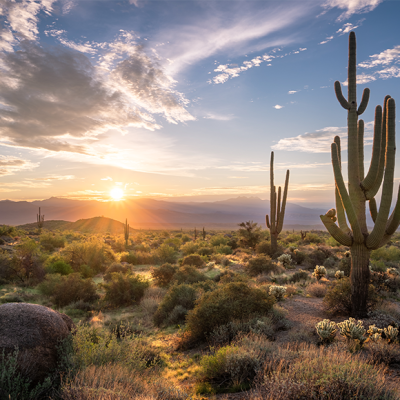 Sunrise in the majestic McDowell Mountains located in the Sonoran Desert with Saguaro Cacti and desert landscape