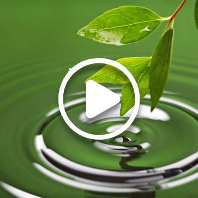 power-of-purpose_product-image leaf causing a ripple effect in the water